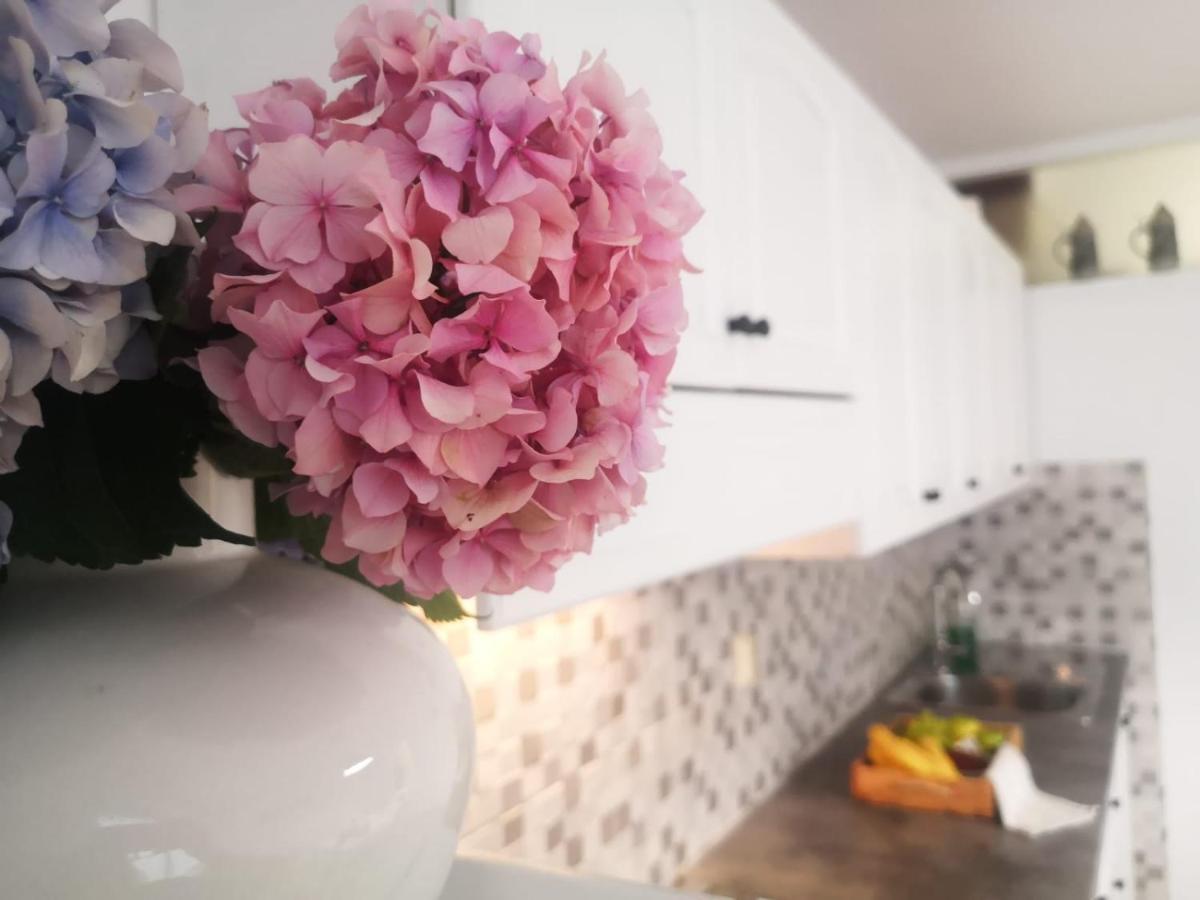 Apartment Lena พูลา ภายนอก รูปภาพ